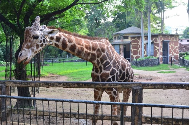 廣州景點​美食