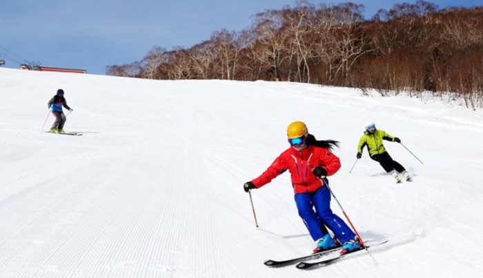 東北滑雪場 東北滑雪場