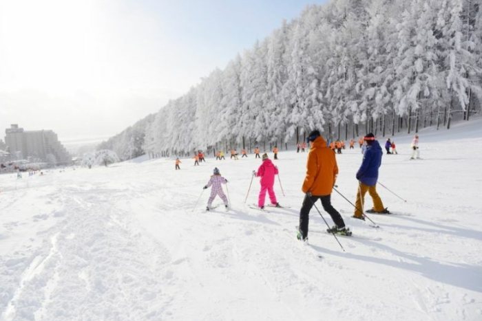 東北滑雪行程 東北滑雪行程