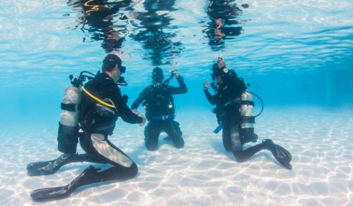 沙巴美人魚島潛水住宿