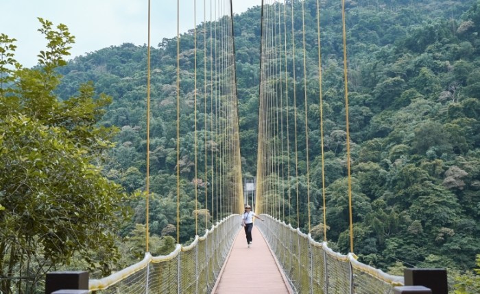 南投竹山景點 南投竹山景點