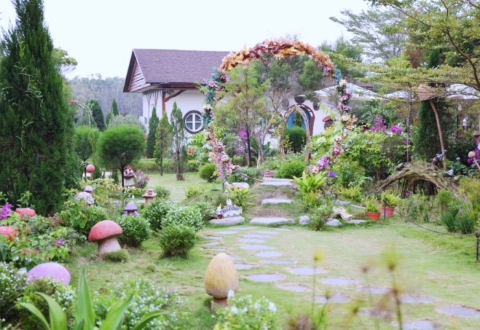 艾米達精靈谷茶樹莊園