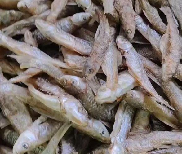 東門市場必買 東門市場必買