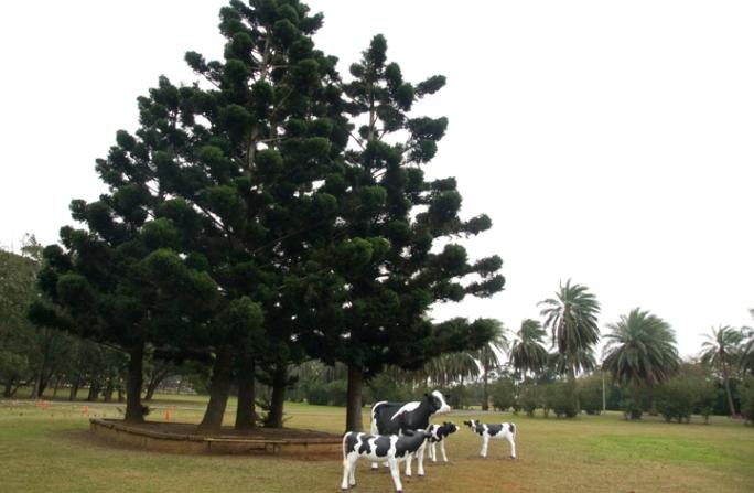 桃園有什麼好玩的