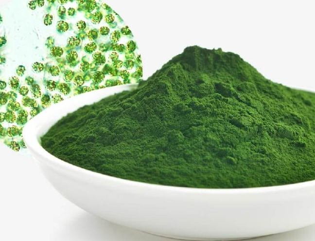 綠藻功效 綠藻功效
