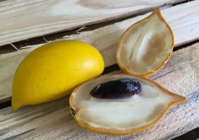 黃金果功效與禁忌