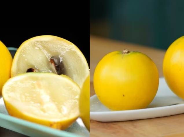 黃金果功效與禁忌