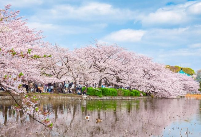 東京上野景點推薦