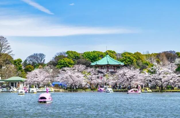 東京上野景點推薦