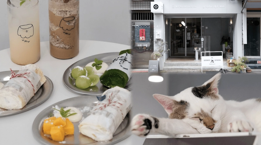 貓咪咖啡廳 台中 貓咪咖啡廳 台中