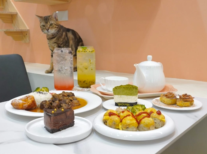 貓咪咖啡廳 台中 貓咪咖啡廳 台中