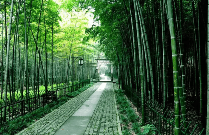 杭州旅遊季節 杭州旅遊季節