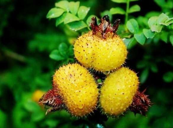 貴州旅遊地圖 貴州旅遊地圖