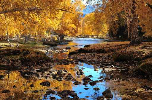 北疆旅遊費用​